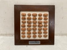 12 X STONE THE CROWS OAK NUTS IN FRAME - SQ 23CM - TOTAL RRP £360