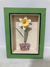 20 X STONE THE CROWS SINGLE NARCISSUS SHADOW BOX - HEIGHT 24CM - TOTAL RRP £480