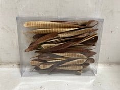 60 X STONE THE CROWS BOX OF SCHOLAR TREE PODS - LNG 27CM - TOTAL RRP £600