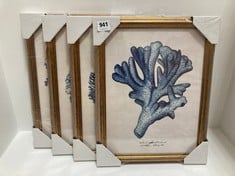 JOHN LEWIS MELISSA WANG ' SEA CORAL STUDY ' FRAMED PRINTS - SET OF 4 - RRP £160