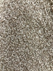 APPROX 4.8 X 5M ROLLED CARPET IN GREY - BROWN NATURAL (ZONE 4) (COLLECTION ONLY)