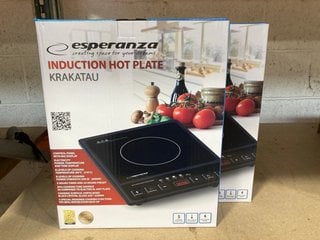 2 X ESPERANZA INDUCTION HOT PLATES: LOCATION - BR14