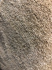 KINGSDALE TWIST CARPET IN TAN APPROX WIDTH 4M APPROX WEIGHT 250KG - COLLECTION ONLY - LOCATION FRONT FLOOR