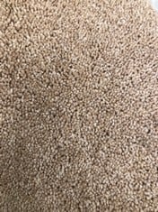 QUANTITY OF ASSORTED CARPETS TO INCLUDE TUDOR TWIST REGAL IN TAWNY APPROX WIDTH 4M - COLLECTION ONLY - LOCATION SR21