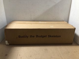 BUDDY THE BUDGET SKELETON: LOCATION - AR1