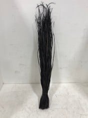 50 X STONE THE CROWS BLACK SNAKE GRASS [100GRAMS] - HEIGHT 70CM - TOTAL RRP £200