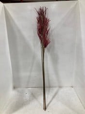 96 X STONE THE CROWS MAUVE SPIDER ORCHID - HEIGHT 119CM - TOTAL RRP £576