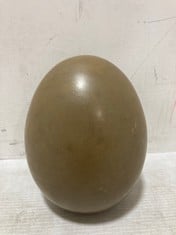 18 X STONE THE CROWS SMALL EGG - STONE - HEIGHT 13CM - TOTAL RRP £90