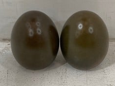 18 X STONE THE CROWS SMALL EGG - RUSSET - TOTAL RRP £90