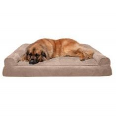 FURHAVEN XXL ORTHOPEDIC DOG BED PLUSH & SUEDE SOFA-STYLE W/REMOVABLE WASHABLE COVER - ALMONDINE, JUMBO PLUS (XX-LARGE).