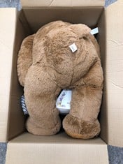 QUANTITY OF ITEMS TO INCLUDE LARGE TEDDY BEAR: LOCATION - C RACK