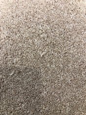 QUANTITY OF ASSORTED CARPETS TO INCLUDE STAINSAFE SHEPHERD TWIST IN SANDSTONE APPROX WIDTH 4M - COLLECTION ONLY - LOCATION MIDDLE FLOOR