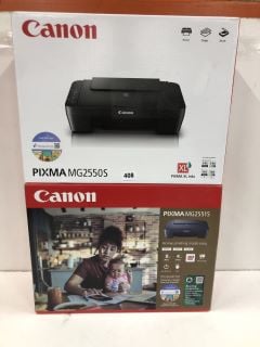 2 X CANON PIXMA INC MG2550S