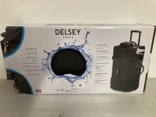 DELSEY PARIS ULTRA SECURE BAG