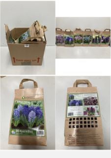 BOX OF VARIOUS LONGFIELD GARDENS FLOWER BULBS TO INCLUDE 20 HYACINTHUS