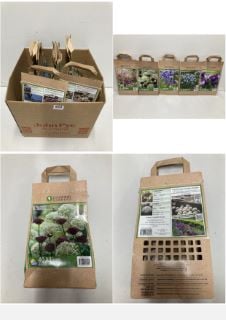 BOX OF VARIOUS LONGFIELD GARDENS FLOWER BULBS TO INCLUDE 40 ALLIUM