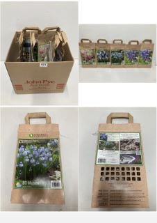 BOX OF VARIOUS LONGFIELD GARDENS FLOWER BULBS TO INCLUDE 80 MUSCARI