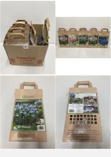 BOX OF VARIOUS LONGFIELD GARDENS FLOWER BULBS TO INCLUDE 80 MUSCARI