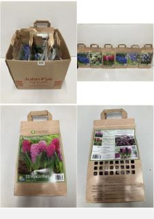 BOX OF VARIOUS LONGFIELD GARDENS FLOWER BULBS TO INCLUDE 20 HYACINTHUS