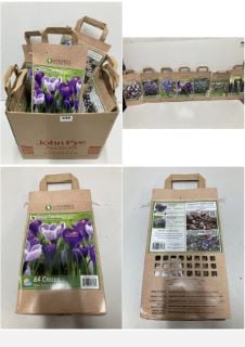 BOX OF VARIOUS LONGFIELD GARDENS FLOWER BULBS TO INCLUDE 64 CROCUS