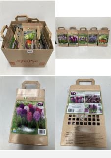 BOX OF VARIOUS LONGFIELD GARDENS FLOWER BULBS TO INCLUDE 20 HYACINTHUS