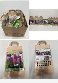 BOX OF VARIOUS LONGFIELD GARDENS FLOWER BULBS TO INCLUDE 20 HYACINTHUS