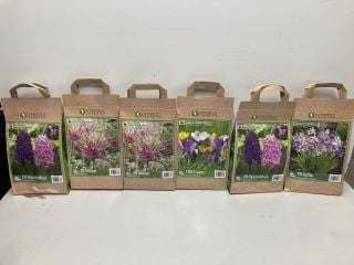 BOX OF VARIOUS LONGFIELD GARDENS FLOWER BULBS TO INCLUDE 20 HYACINTHUS