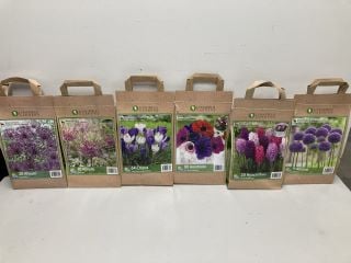 BOX OF VARIOUS LONGFIELD GARDENS FLOWER BULBS TO INCLUDE 64 CROCUS