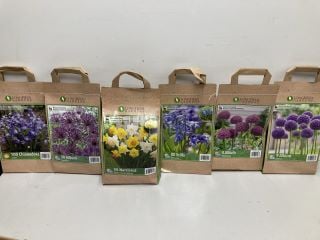 BOX OF VARIOUS LONGFIELD GARDENS FLOWER BULBS TO INCLUDE 80 SCILLA