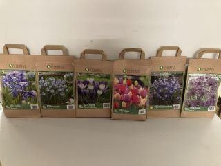 BOX OF VARIOUS LONGFIELD GARDENS FLOWER BULBS TO INCLUDE 50 TULIPA