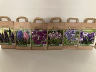 BOX OF VARIOUS LONGFIELD GARDENS FLOWER BULBS TO INCLUDE 64 CROCUS