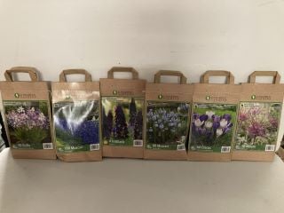 BOX OF VARIOUS LONGFIELD GARDENS FLOWER BULBS TO INCLUDE 10 ALLIUM