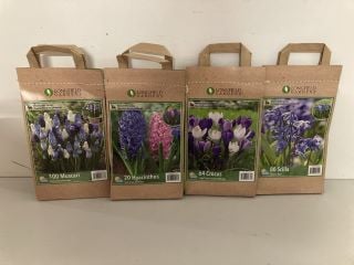 BOX OF VARIOUS LONGFIELD GARDENS FLOWER BULBS TO INCLUDE 100 MUSCARI