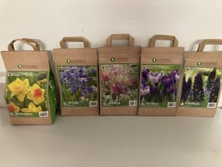 BOX OF VARIOUS LONGFIELD GARDENS FLOWER BULBS TO INCLUDE 64 CROCUS