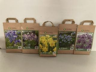 BOX OF VARIOUS LONGFIELD GARDENS FLOWER BULBS TO INCLUDE 70 SCILLA