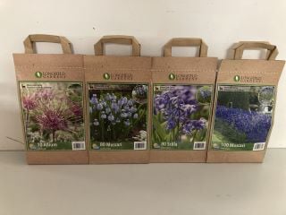 BOX OF VARIOUS LONGFIELD GARDENS FLOWER BULBS TO INCLUDE 100 MUSCARI