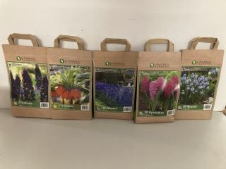 BOX OF VARIOUS LONGFIELD GARDENS FLOWER BULBS TO INCLUDE 20 HYACINTHUS