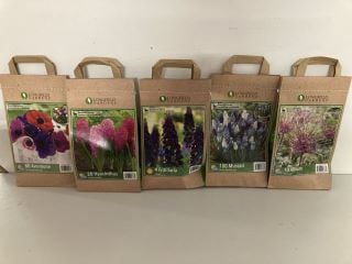 BOX OF VARIOUS LONGFIELD GARDENS FLOWER BULBS TO INCLUDE 80 ANEMONE