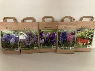 BOX OF VARIOUS LONGFIELD GARDENS FLOWER BULBS TO INCLUDE 4 FRITILLARIA