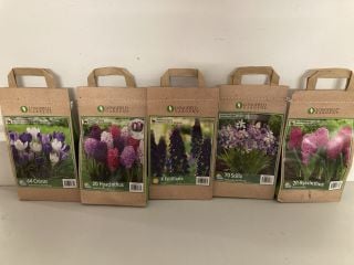 BOX OF VARIOUS LONGFIELD GARDENS FLOWER BULBS TO INCLUDE 20 HYACINTHUS