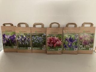 BOX OF VARIOUS LONGFIELD GARDENS FLOWER BULBS TO INCLUDE 80 MUSCARI