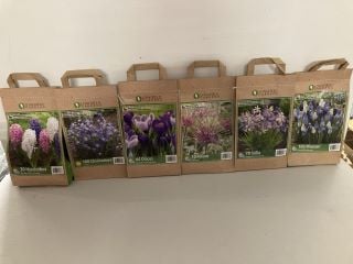 BOX OF VARIOUS LONGFIELD GARDENS FLOWER BULBS TO INCLUDE 100 CHIONODOXA