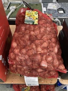 5 X SACKS OF NARCISSUS BULBS