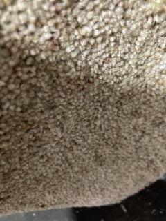 BEIGE TEXTURED MEDIUYM FIBRE CARPET (5M)