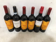 6 X BOTTLES OF TERRE DI FAIANO RED WINE 2022 14% 75CL(18+ PROOF OF ID) (COLLECTION DAYS MONDAY 28TH OCTOBER - WEDNESDAY 30TH OCTOBER 9AM TO 4PM)