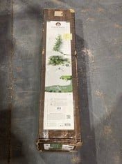 EVERLANDS ALLISON PINE CHRISTMAS TREE - RRP £125