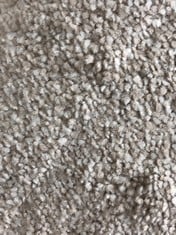 APPROX 4 X 8.5M ROLLED CARPET IN POLAR MOUNT (COLLECTION ONLY)