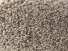 APPROX 4 X 5M ROLLED CARPET IN SAUTEED MUS (COLLECTION ONLY)