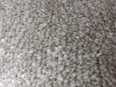 APPROX 10.7 X 4M ROLLED CARPET IN POLAR MOUNTAIN (COLLECTION ONLY)