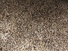 APPROX 12 X 5M ROLLED CARPET IN MIXED BROWN (COLLECTION ONLY)